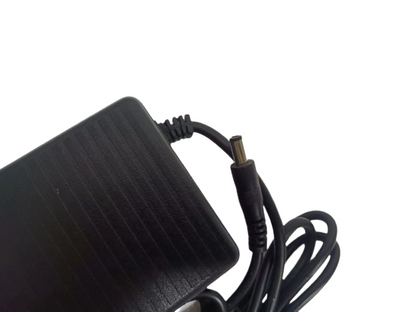 Lankeleisi  Electric Bike Charger