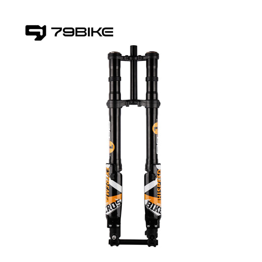 FASTACE ALX13RC 2.0 FORK