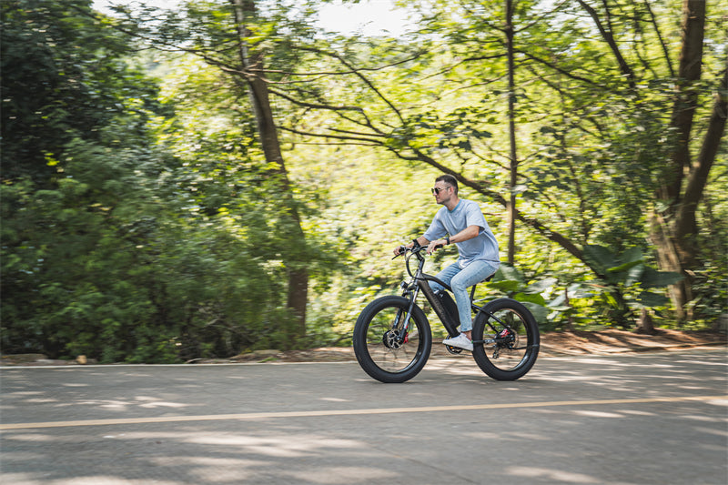 (USA EU UK Stock) Lankeleisi MG740 PLUS Dual Motor Off-Road Electric Bicycle(New In 2023)