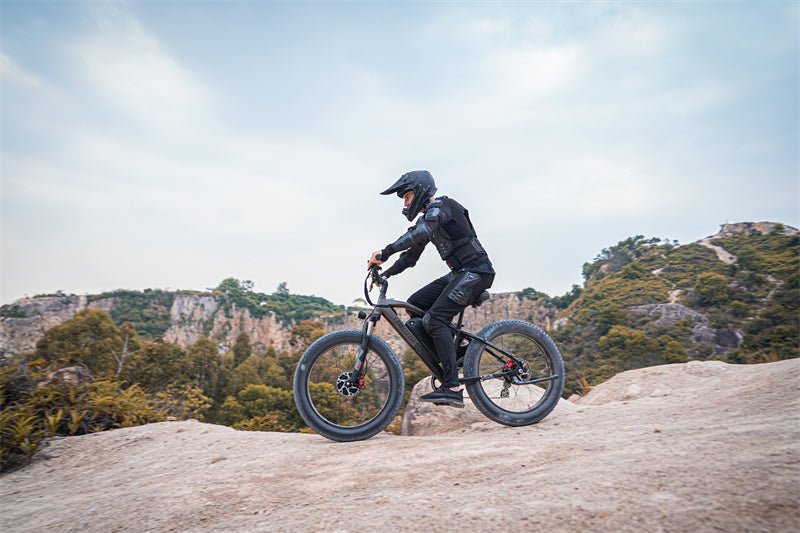 (USA EU UK Stock) Lankeleisi MG740 PLUS Dual Motor Off-Road Electric Bicycle(New In 2023)