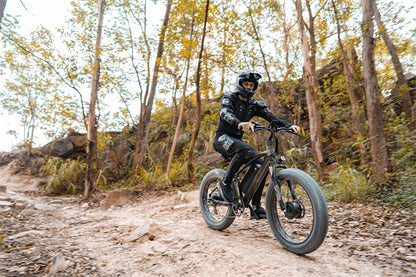 (USA, EU, UK-Lager) Lankeleisi MG740PLUS Offroad-Elektrofahrrad mit Doppelmotor vorne und hinten (Neu im Jahr 2023)