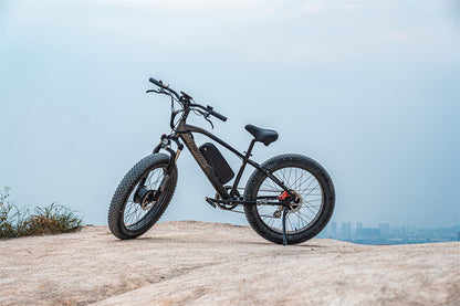 (USA EU UK Stock) Lankeleisi MG740 PLUS Dual Motor Off-Road Electric Bicycle(New In 2023)